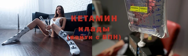 трава Бородино